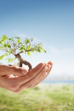 Gotta Let Go To Grow Gotta Let Go To Grow