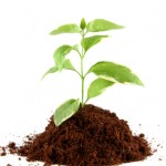 Create a Place to Soar for your Family